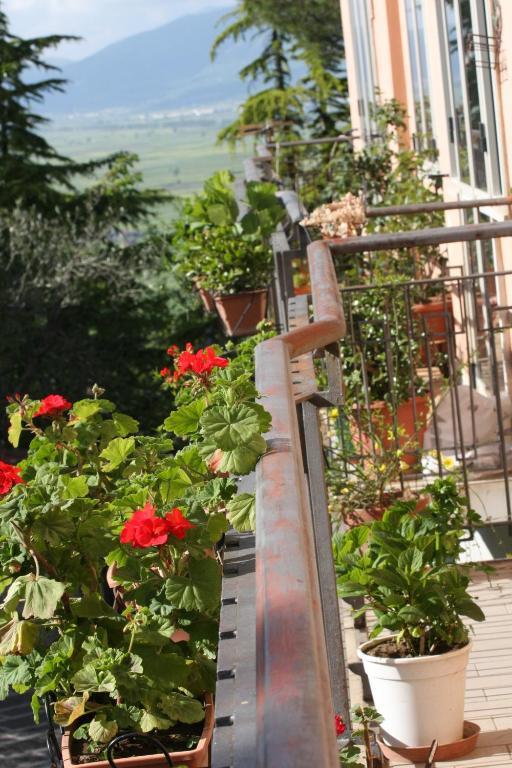 Hotel La Congiura Dei Baroni Teggiano Rom bilde